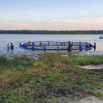 IBN team successfully assembled first fish cages in Guyana