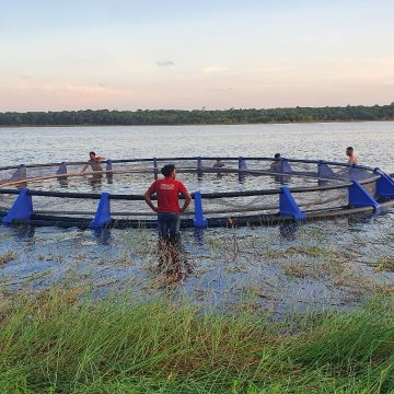 Equipe da IBN instala as primeiras gaiolas de peixes na Guiana